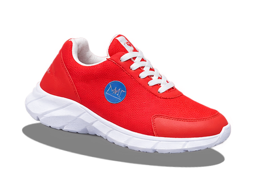 Model Sepatu 1