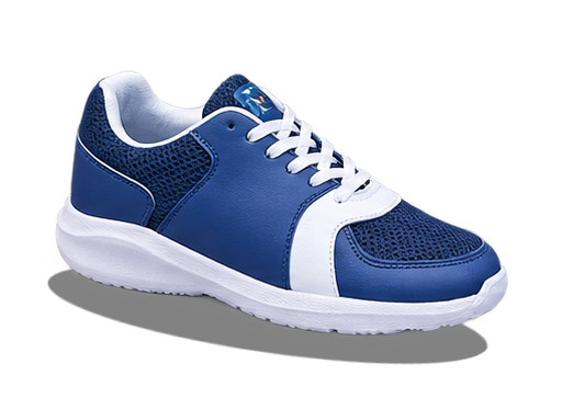 Model Sepatu 2